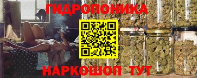 крисы Сланцы