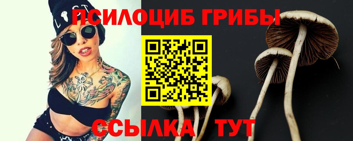 Псилоцибиновые грибы Cubensis  Вход с VPN  Псков 